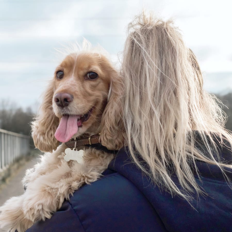 Cold Laser Therapy, Louisa Veterinarians